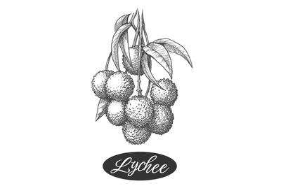 Lychee branch engraving