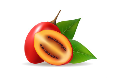Tamarillo fruits illustration