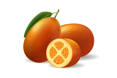 Kumquat realistic illustration