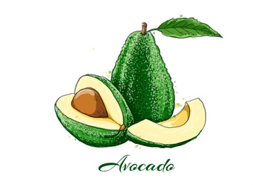 Watercolor avocado poster