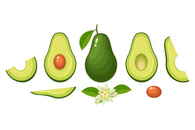 Cartoon avocado elements