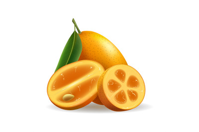 .Realistic kumquat fruit