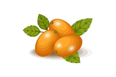Kumquat stylized cartoon illustration