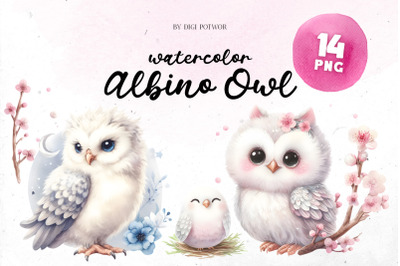 Cute Watercolor Albino Owl Bundle | PNG cliparts
