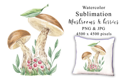 Mushrooms Berries Watercolor Sublimation. Botanical illustration hand