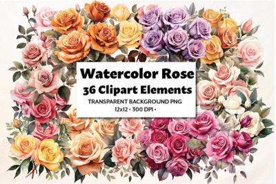 Watercolor Rose Clipart, 36 PNG Pack