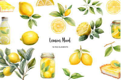 Watercolor lemon clipart. Lemon parts clip art. Lemon branches, leaves