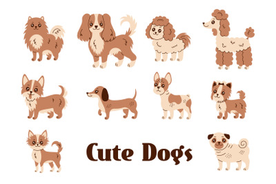 Cute Dogs Illustrations