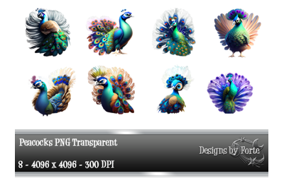 Peacocks Clip Art  Graphics