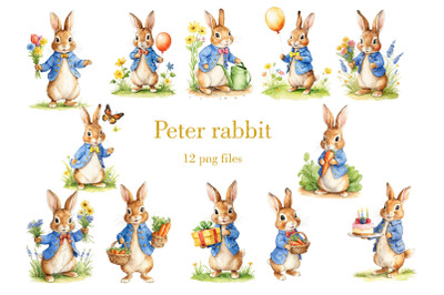 Peter Rabbit bundle, Rabbit PNG, Bunny PNG, Transparent PNG file