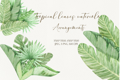 Arrangements Tropical leaves watercolor hand drawn