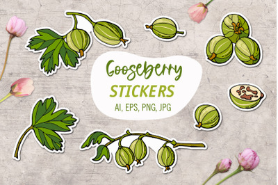 Gooseberry/ Printable Stickers Cricut Design