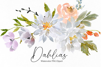 Watercolor White Dahlias Flowers Png