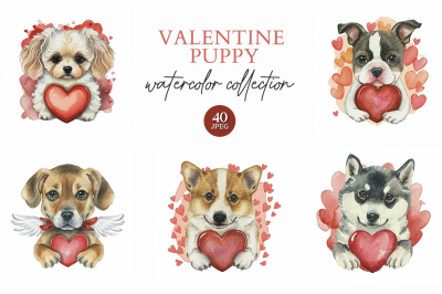 Valentine Puppy