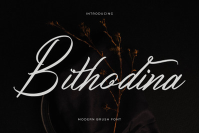 Bithodina - Modern Brush Font