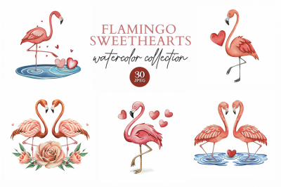 Flamingo Sweethearts