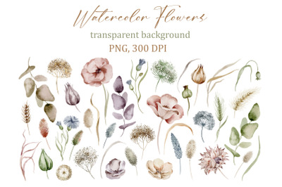 Delicate Watercolor Floral Elements - Transparent PNG