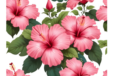 Hibiscus