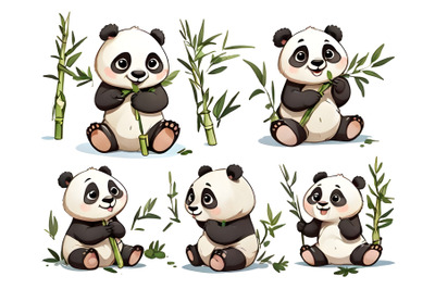 Cute panda