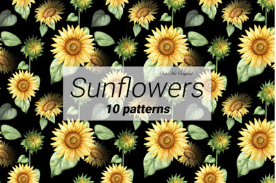 Sunflowers Seamless patterns / Floral background