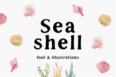 Sea shell | font &amp; illustrations