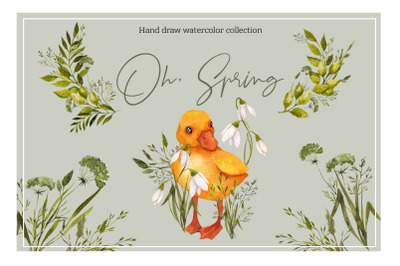Oh, Spring. Watercolor collection