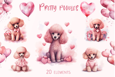 Pretty poodles illustration set