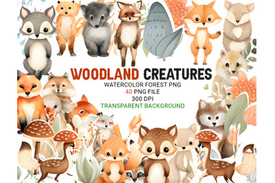 Watercolor Forest Friends Clipart Bundle