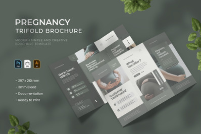 Pregnancy - Trifold Brochure