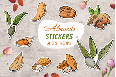 Almond/ Printable Stickers Cricut Design