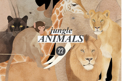 Jungle Animals Vintage