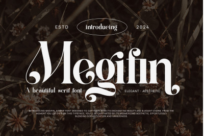Megifin Beautiful Ligature Serif
