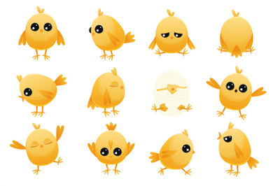 Cute cartoon chicken baby. Yellow farm poultry with beak and wings, si