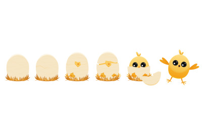 Chicken hatching stages. Cartoon winged chick emerging from egg,