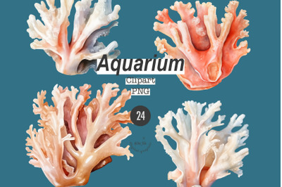 Aquarium Clipart