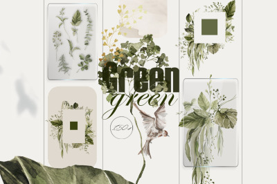 Green leaves Watercolor floral clipart