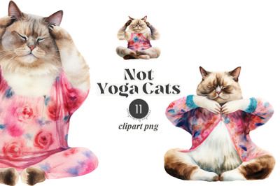 Not Yoga Cats