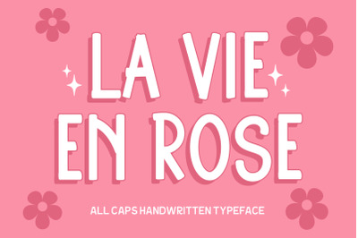 La Vie En Rose, Handwritten Beauty Font, Feminine Typeface Font