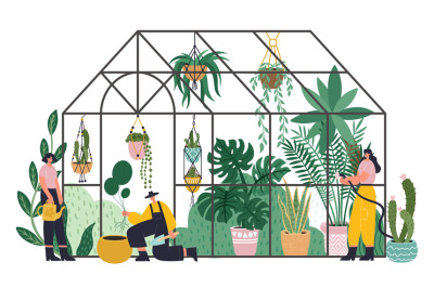 People working in planting greenhouse, glass orangery, botanical garde