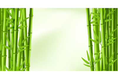 Bamboo frame. Green banner framing with bamboo stems and leaves, Chine