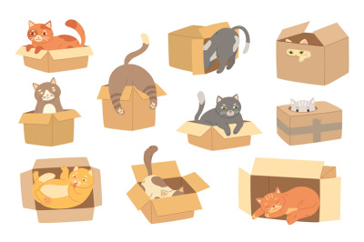 Cartoon cats in cardboard box. Felines play with boxes, adopt kittens