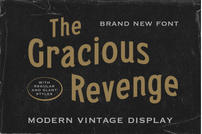 The Gracious Revenge - Modern Vintage Display