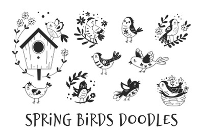 Spring Birds Doodles