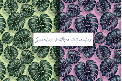 Patterns with monstera leaves | Seamless patterns