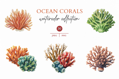 Ocean Corals