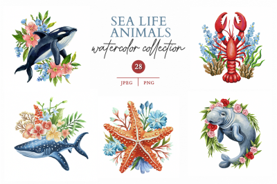 Sea life Animals