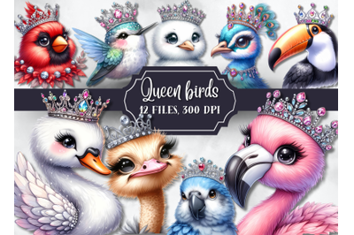 Queen birds clipart