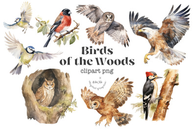 Birds of the woods