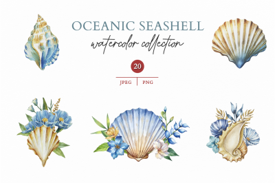 Oceanic Seashell