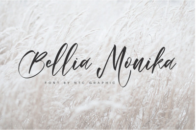 Bellia Monika Elegant Script Font